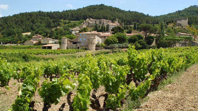 Beaujolais