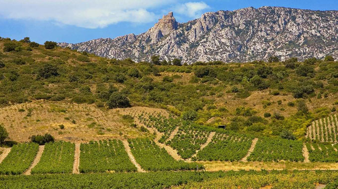 Languedoc